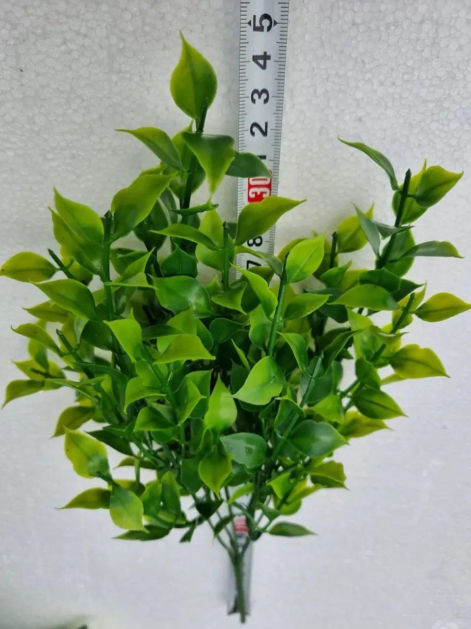 Штучний лимонник 5 гілочок, фото 1