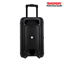 Колонка Temeisheng 1215-02, Bluetooth колонка 8", фото 2