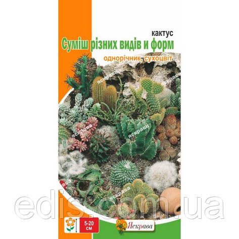 Кактус, суміш різних видів і форм, 0,2 г, насіння Яскрава, фото 1