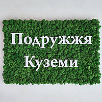 Логотип/вивска з моху на стіну. Різні розміри і кольори