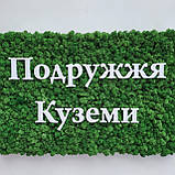 Логотип/вивска з моху на стіну. Різні розміри і кольори, фото 3