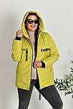 Жіноча демісезонна куртка великого розміру батальна коротка спортивна жіночі куртки весняні осінні, фото 7