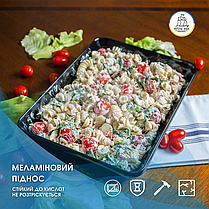 Піднос пластиковий коричневий 420х355 мм Ємності для викладення продуктів Розноси підноси для викладки випічки, фото 3