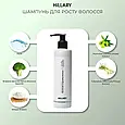 Шампунь для росту волосся Hillary Hop Cones & B5 Hair Growth Invigorating , 250 мл, фото 2
