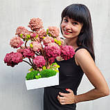 Авторська Композиція з моху. Дерева з моху. Яскравий  подарунок дружині чи дівчині на день народження, фото 3