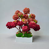 Авторська Композиція з моху. Дерева з моху. Яскравий  подарунок дружині чи дівчині на день народження, фото 2