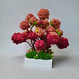 Авторська Композиція з моху. Дерева з моху. Яскравий  подарунок дружині чи дівчині на день народження, фото 4