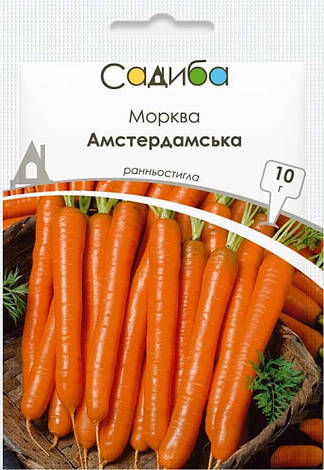 Насіння моркви Амстердамська, 10 г, Садиба, фото 1