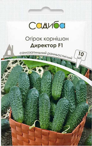 Насіння огірка Директор F1, 10 шт., Садиба, фото 1