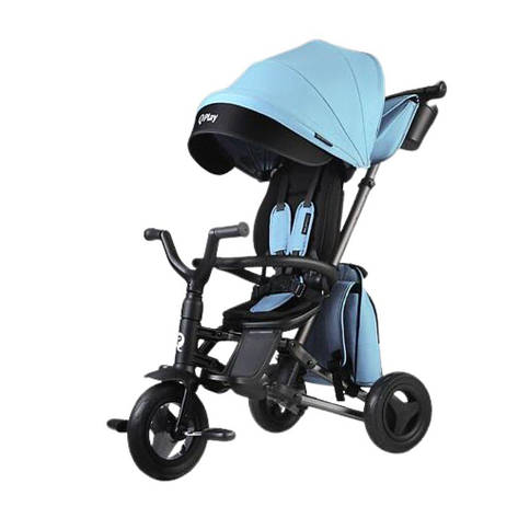 Триколісний Дитячий Велосипед Qplay Nova+ Rubber Exclusive Mint, фото 1