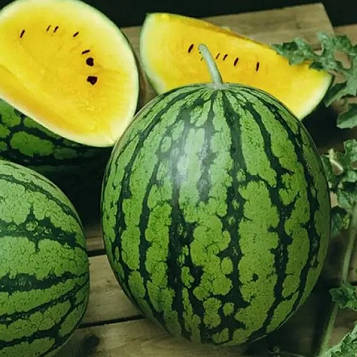 Насіння кавуна Янусік (1г)