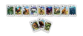 Настільна гра Картолінія: Тварини (Cardline: Animals), фото 3