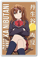 Синка Нібутані Shinka Nibutani - плакат аніме