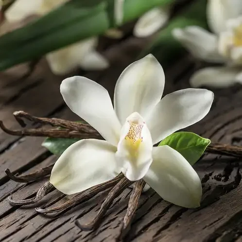 Аромаолія для свічок і мила Ванільна орхідея (CandleScience Vanilla Orchid)