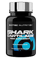 Акулий хрящ Scitec Nutrition SHARK CARTILAGE 75 капсул