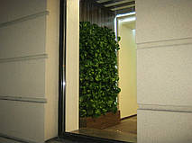 Вид с улицы