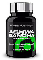 Пищевая добавка Scitec Nutrition Ashwagandha 60 капсул