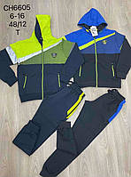 Трикотажный спортивный костюм-тройка для мальчиков S&D 134-164 см, оптом CH-6605