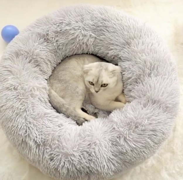 Спальні місця для хатніх тварин лежанки для котів і собак 50 см, Пуфик для кішок лежак круглий для
