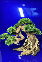 Декор для аквариума Коряга, натуральное дерево Бонсай с зеленью для аквариума