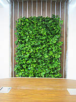 Фитостена (г. Днепропетровск) 2