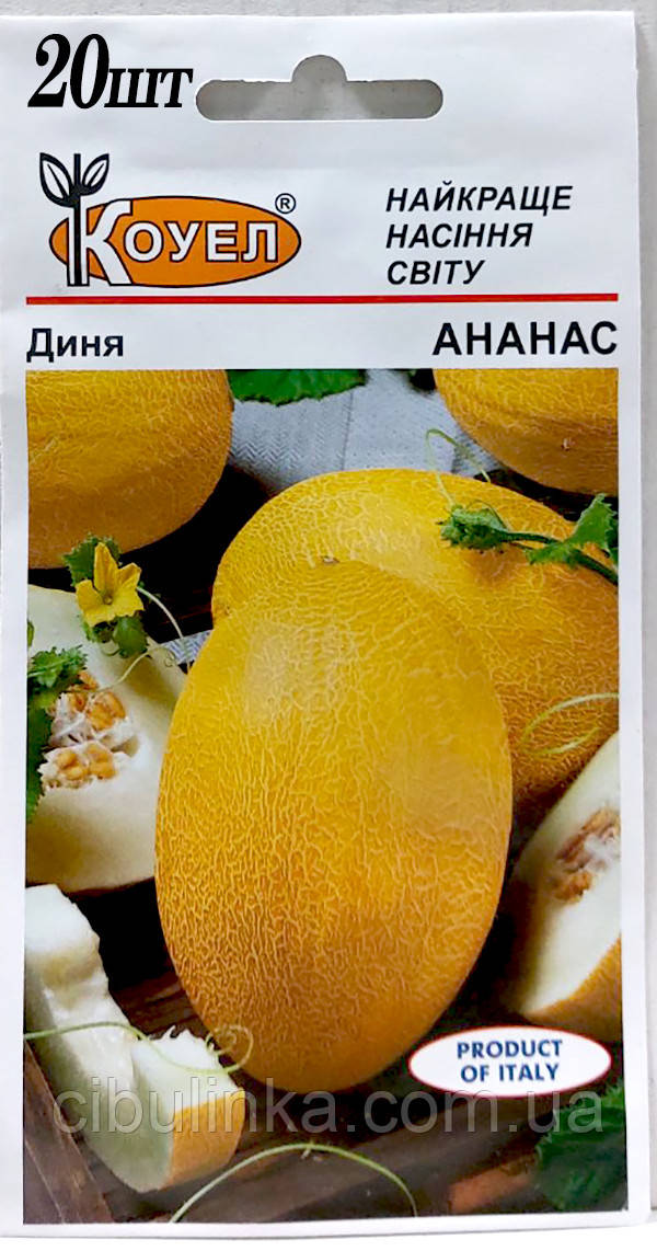 Диня Ананас Італія 20 шт, фото 1