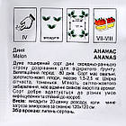 Диня Ананас Італія 20 шт, фото 3