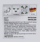 Диня Ортолані Італія 20 шт, фото 3