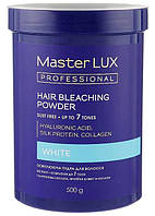 Освітлююча пудра для волосся White Master LUX Professional 500 г