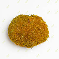 Стабилизированный мох Green Ecco Moss кочка желтая 0,5 кг