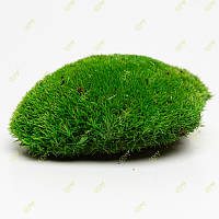 Стабилизированный мох Green Ecco Moss кочка зеленый 1 кг