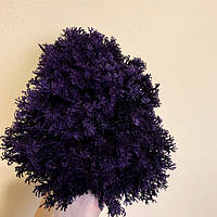 Стабилизированный мох  ягель украинский фиолетовый 1 кг