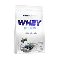 Протеин All Nutrition Whey Protein черника