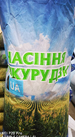 Кукурудза ХОТІН ФАО 280, фото 1