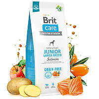 Беззерновой сухой корм для молодых собак крупных пород Brit Grain-free Junior Large Breed с лососем 12 кг