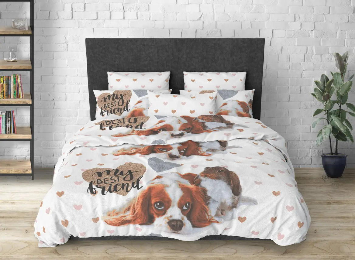 Євро комплект постільної білизни 200х220 Ранфорс на блискавці (22021) Красиві комплекти постільної білизни, фото 1