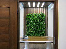 Фитостена (г. Днепропетровск) 4