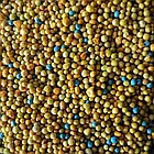 Добриво пролонгованої дії Осмокот Osmocote Exact High K (12-7-19+Te) 3-4 міс. 200 г, фото 2