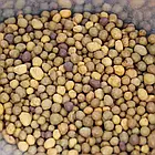 Добриво пролонгованої дії Осмокот Osmocote pro (18-9-10+2MgO+Te) 8-9 міс. 1000 г, фото 2