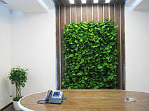 Фитостена (г. Днепропетровск) 3