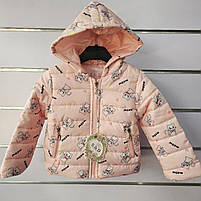 Вітровка для дівчат оптом, S&D, 1-5 років, № СН-6611, фото 5