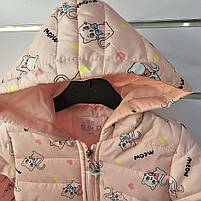 Вітровка для дівчат оптом, S&D, 1-5 років, № СН-6611, фото 6