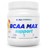 BCAA Max Support - 500g Orange