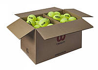 Теннисные мячи Wilson TRINITI CLUB TBALL 72 BALL BOX (Оригинал с гарантией)