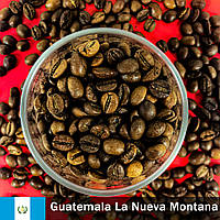ЕКСКЛЮЗИВНО 100% Арабіка Гватемала La Nueva Montana | Преміальна кава в зернах 1 кг