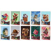 Набір Вишивка гладкою за номерами на підрамнику DANKO TOYS 10 видів, 21*31 см (VGL-02-01,02,03,04...10)