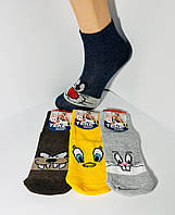 Шкарпетки дитячі 12 пар демісезонні хлопчик ВиАтекс розмір 20(32-34) асорті