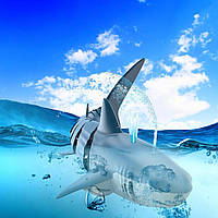 Акула на дистанційному керуванні 2,4G на акумуляторі, інтерактивна дитяча іграшка з пультом керування
