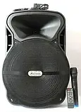 Автономна акустична система LIGA — AJ 15 DKC, фото 2