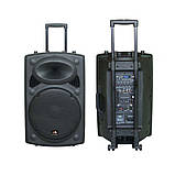 Автономна акустична система LIGA — AJ 15 DKC, фото 3